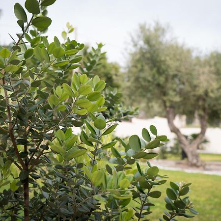 B&B La Manica 米拉佐 外观 照片
